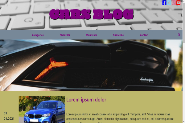 mock estore site